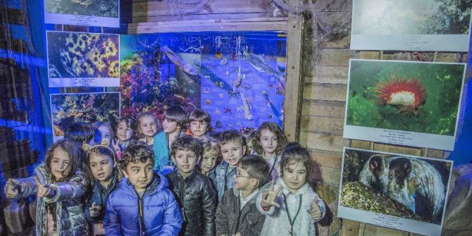 Sualtının Büyülü Dünyası Deniz Müzesi’nde