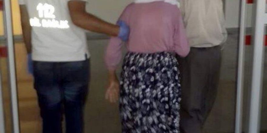 Akrebin Soktuğu Yaşlı Kadın Hastanelik Oldu