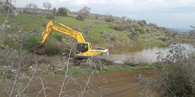 Hayvanlar Daha Temiz Su İçecek