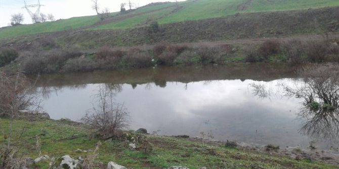 Hayvan İçme Suyu Göletleri Temizleniyor