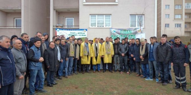 Edremit’te Fidan Dikimi