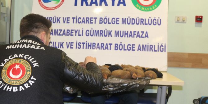 Çorabın İçinden Binlerce Sülük Çıktı