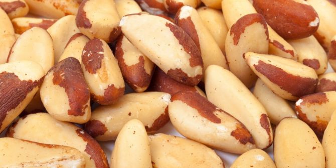 "Brezilya Cevizi, Doğal Selenyum Kaynağı Olan Tek Gıda Ürünüdür"