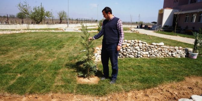 Sarıgöl’de Okul Bahçesine 350 Fidan Dikildi