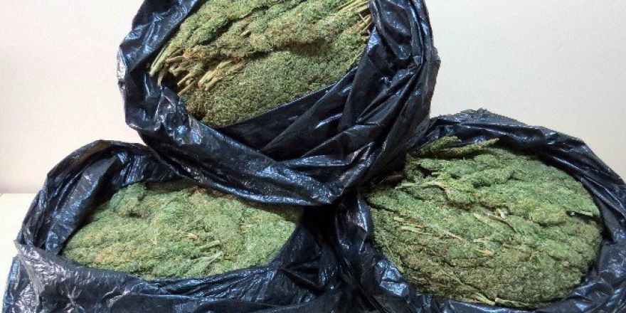 Diyarbakır’da Uyuşturucu Operasyonu