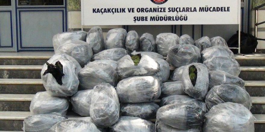 Osmaniye’de Uyuşturucu Operasyonu