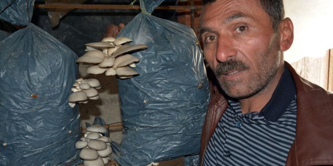 Ek Gelir Olsun Diye Başladı, Şimdi Para Basıyor