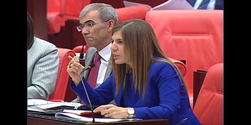 İnceöz’den Batı Basınına Tepki