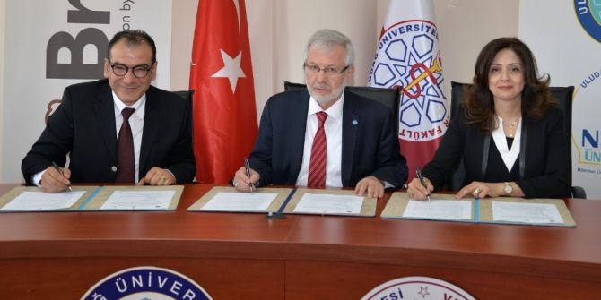 Üniversiteden Kedi Ve Köpeklere Ücretsiz Mama Desteği