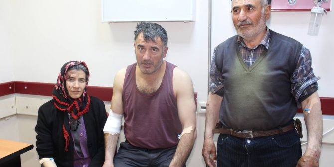 4 Kişiye Saldıran Kurt Kuduz Çıktı