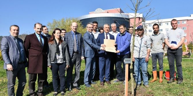 Omü’de Fidanlar Toprak İle Buluşuyor