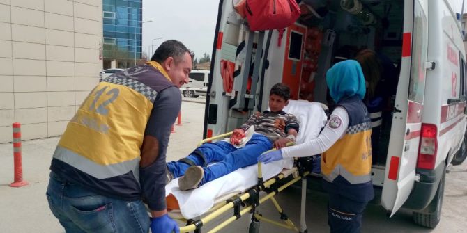 Balık Tutarken Kanlar İçinde Kaldı