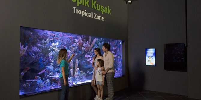 Eğlence Ve Eğitimi Birleştiren İmza