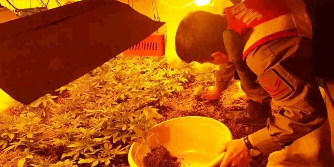 Villasını Hint Keneviri Serasına Döndürdü