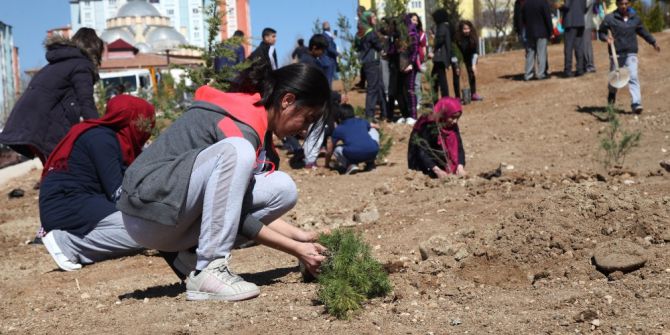 Elazığ’da Belediyesinden Fidan Dikme Etkinliği