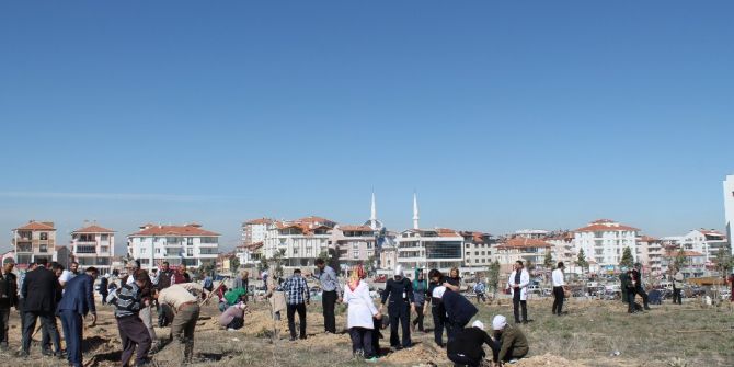 Sağlık Çalışanları İle Hastalar, Hastane Bahçesine 900 Fidan Dikti