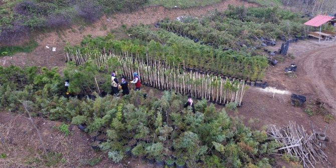 Başiskele’de Çevre Düzenlemesi Ve Peyzaj Çalışması