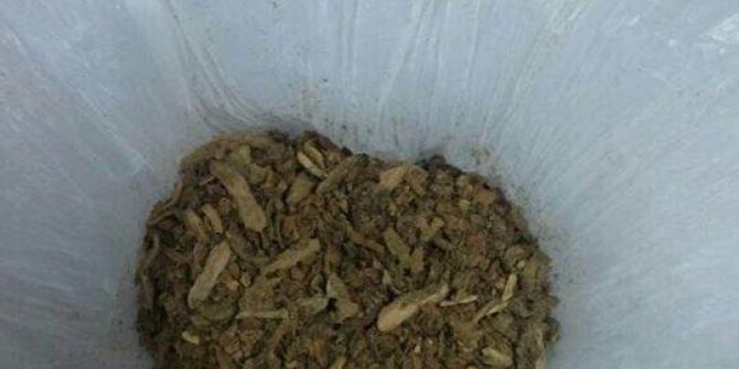 Erzincan Da Uyuşturucu Operasyonu; 1 Tutuklama