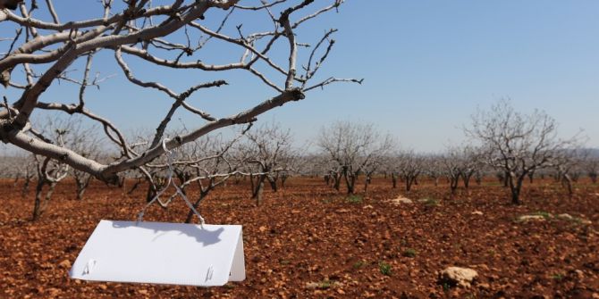 2 Bin Fıstık Üreticisine “Feromon Tuzaklama”