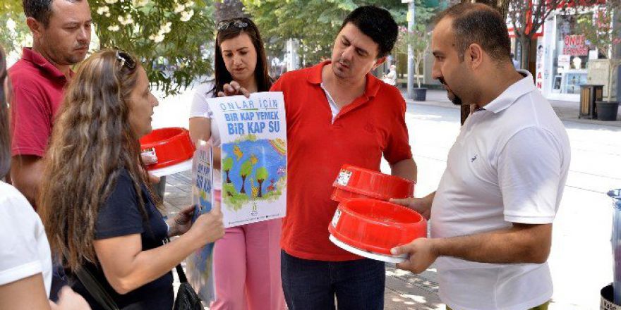 Hayvan Dostu Esnafa Tepebaşı Desteği