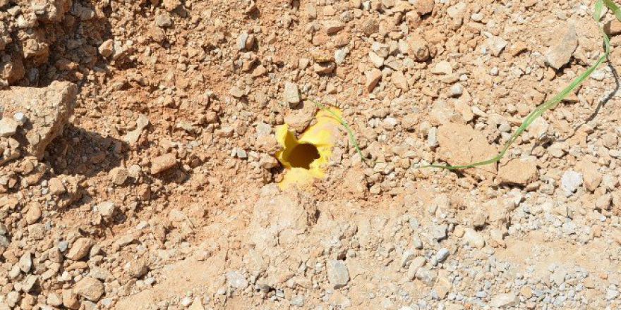 Uşak Üniversitesi’nde Faciadan Dönüldü