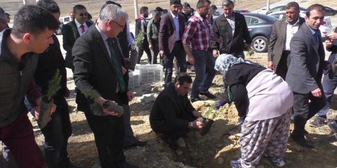 Beyşehir’de 500 Fidan Toprakla Buluşturuldu