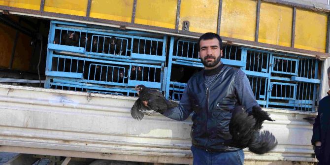 Varto’da Tavuk Satışı