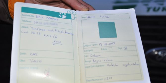 Kars’ta Apartman Bahçesinde Köpek Besleme Tartışması Karakolda Bitti