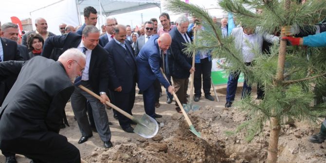 Başkan Çolakbayrakdar, "Boztepe’yi Yeşertiyoruz"