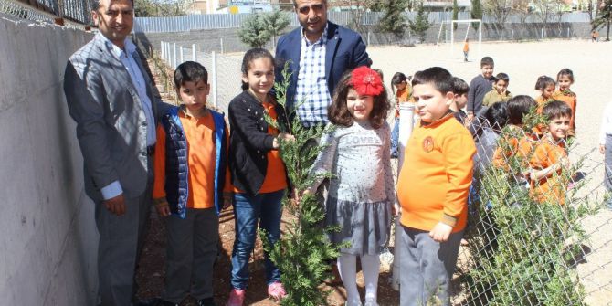 Minik Öğrenciler Fidanları Toprakla Buluşturdu