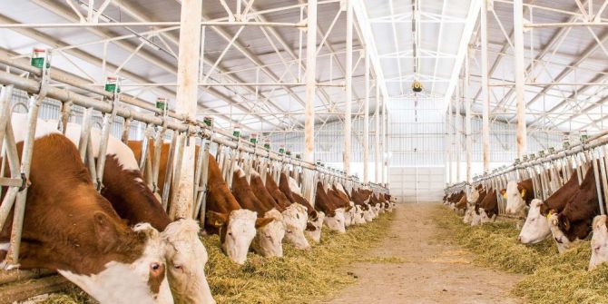 Tkdk, Ipard Iı Programı Birinci Çağrı Sonuçlarını Açıkladı