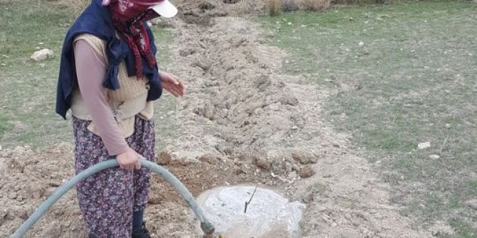 Dağıtılan Fidanların Takibi Yapılıyor