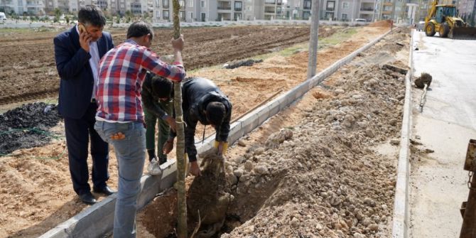 Adıyaman’da Kaldırım Ve Ağaçlandırma Çalışması