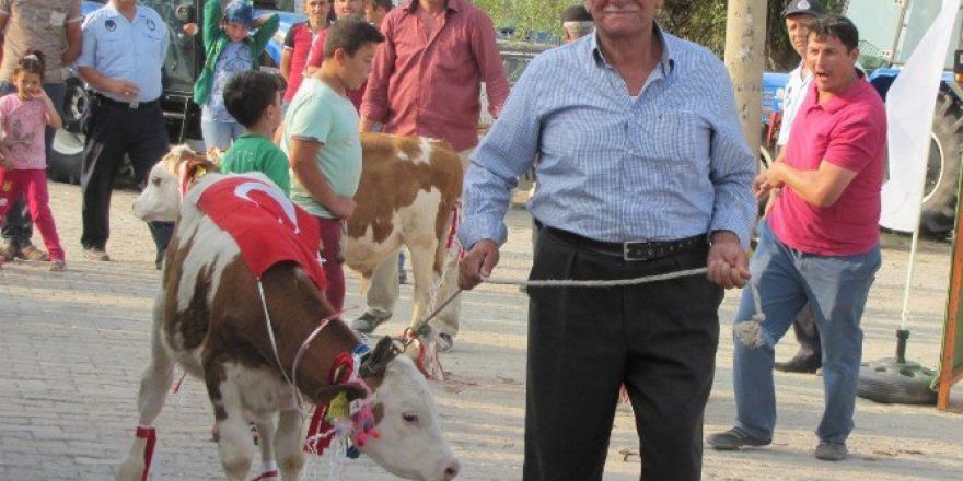 Hayvan Üreticisinden Darbe Girişimine İlginç Protesto
