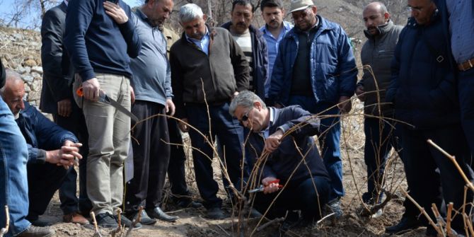 Bağlarda Budama Ve Terbiye Sistemleri Eğitimi