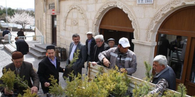 Uçhisar Belediyesi, Ücretsiz Fidan Dağıtımı Yaptı