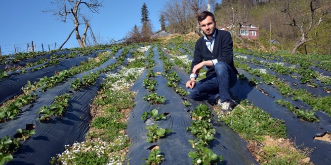 Tarıma Uygun Olmayan Bahçesini Çilek Tarlasına Dönüştürdü