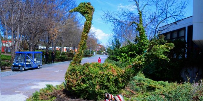 Altınpark’ta Çalılardan Otomobil Yaptılar