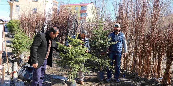 Varto’da Meyve Fidanı Satışı