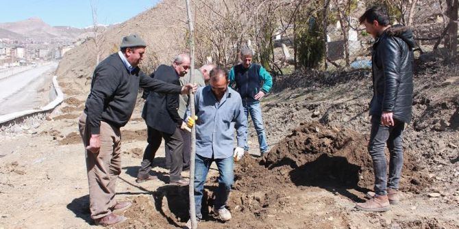 Hakkari’de Ağaçlandırma Çalışması