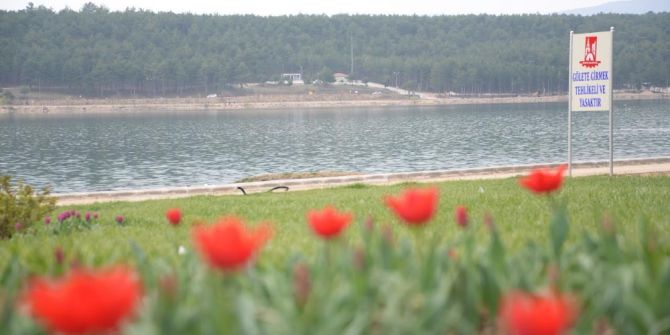 Bilecik Pelitözü Gölpark Bu Yaz Çok Daha Güzel Olacak