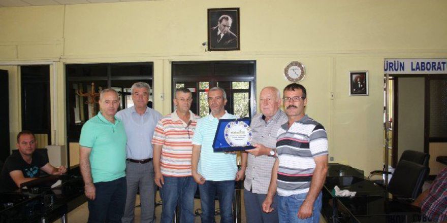 İlk Ayçiçeği, 2.60 Tl’den Satıldı