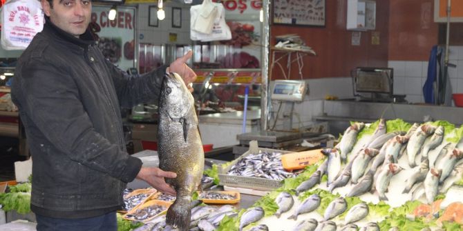 Taze Balık Mı, Dondurulmuş Balık Mı?