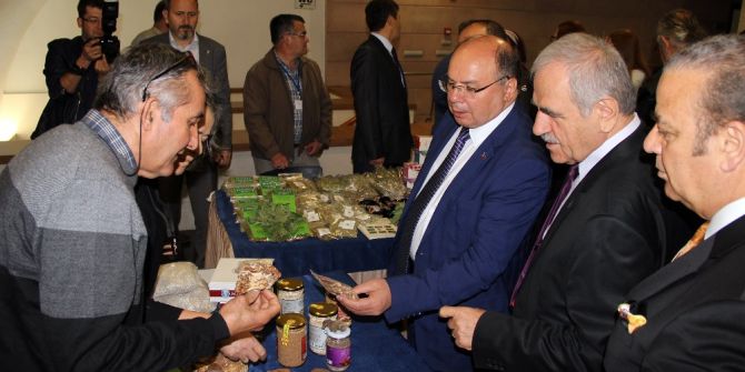 Muğla Valisi Amir Çiçek;