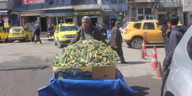 Ağrı’da Çiriş Tezgahlardaki Yerini Aldı