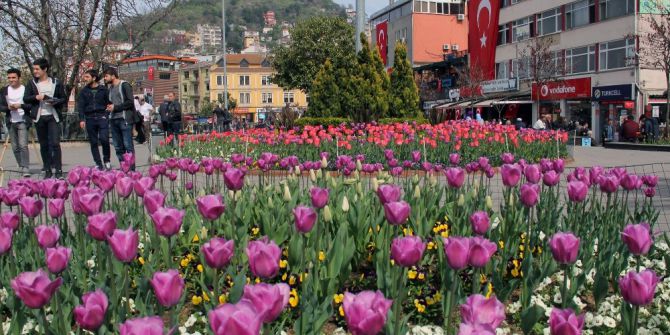 Giresun Lalelerle Renklendi
