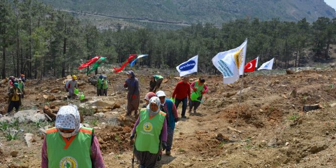 Silifke’deki Maden Sahasına Bin 600 Fidan Dikildi