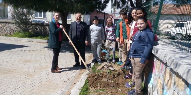 Okullarını Yeşillendirdiler