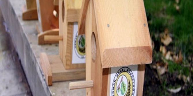 Bin Adet Kuş Yuvası Samsun Ormanlarına Bırakılacak