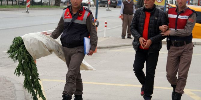 Antalya’da 521 Kök Hint Keneviri Ele Geçirildi